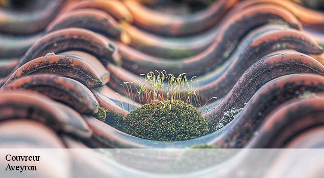 Couvreur 12 Aveyron ACE Couverture